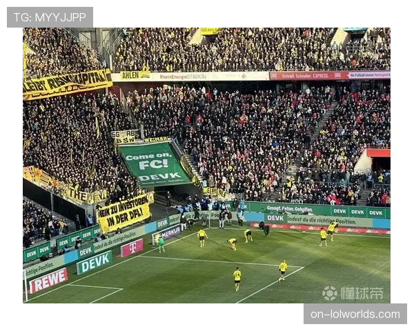 德国足球职业联盟宣布放弃引入外部投资者计划 德国足球职业联盟宣布放弃引入外部投资者计划